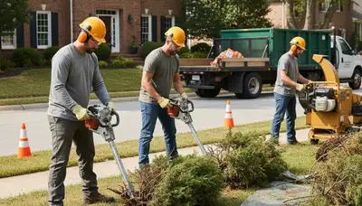 Cincinnati, OH tree service crew removing overgrown shrubs from a yard