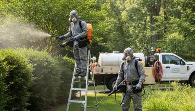 Professional tick control service in Cincinnati, OH for safer yards and pet protection